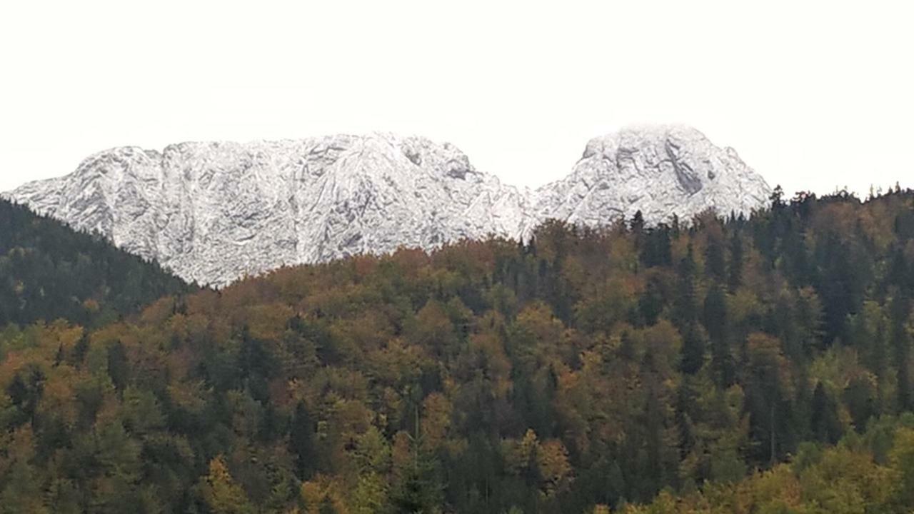 Apartament 33.13.A. Zakopane Eksteriør billede