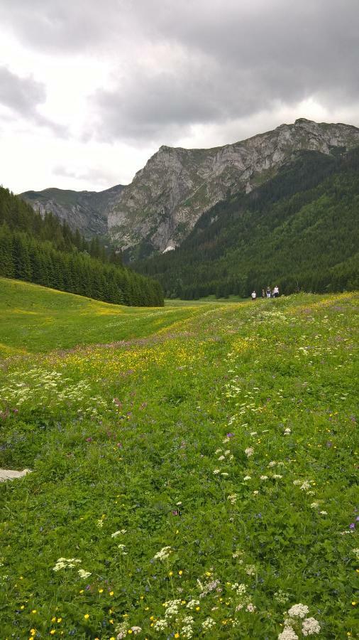 Apartament 33.13.A. Zakopane Eksteriør billede