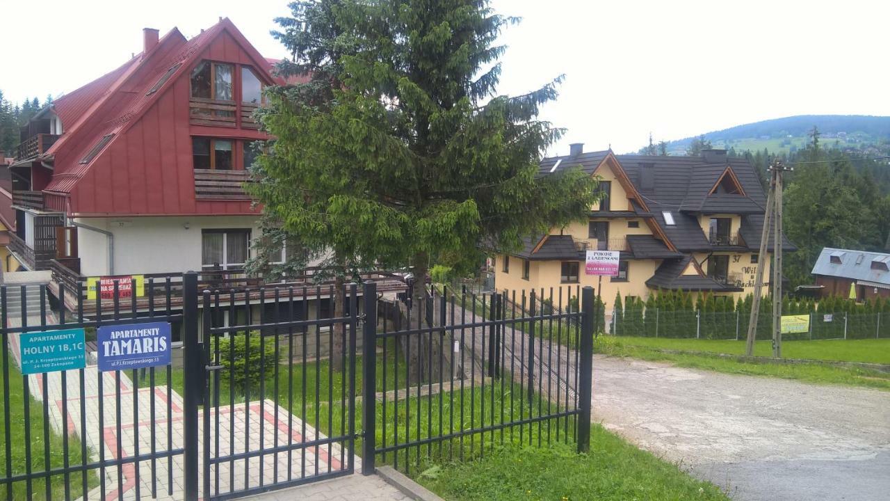 Apartament 33.13.A. Zakopane Eksteriør billede