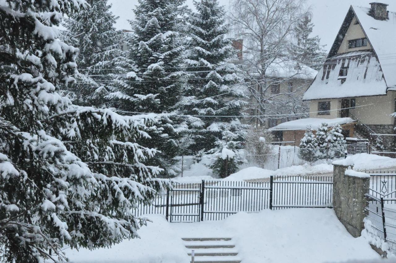 Apartament 33.13.A. Zakopane Eksteriør billede